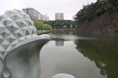 IMG 2845