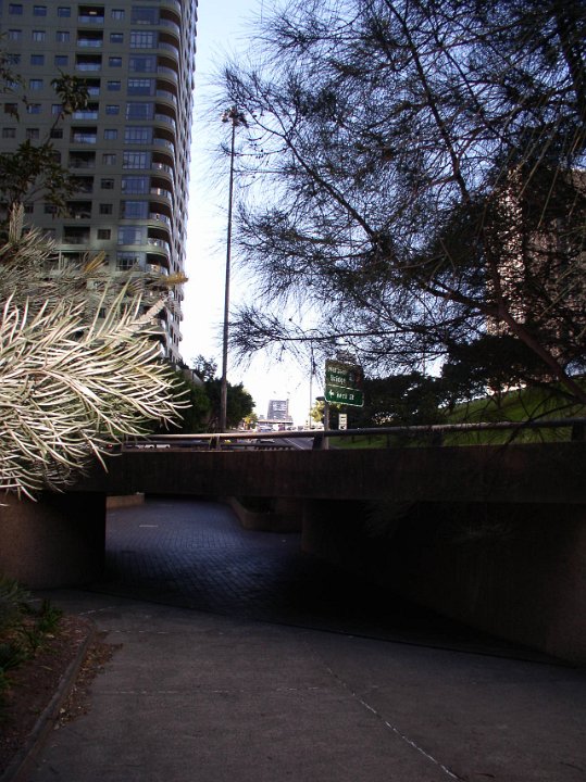 P7291418