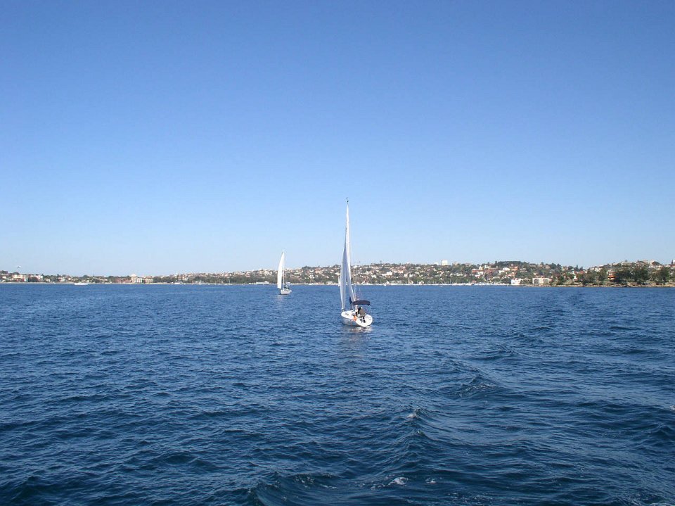 P7301524