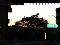 P7231402