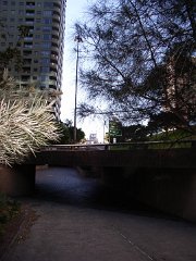 P7291418