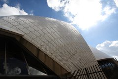 IMG 2504