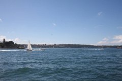 IMG 2507