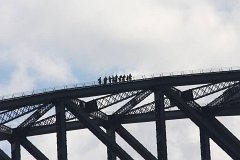 IMG 2520
