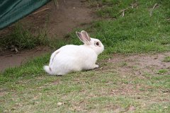 IMG 2542
