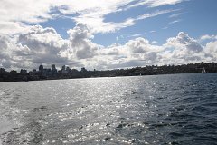 IMG 2582