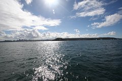 IMG 2584