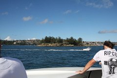 IMG 2588