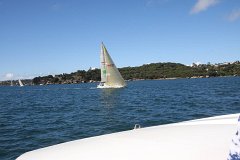 IMG 2591