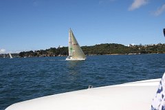 IMG 2592