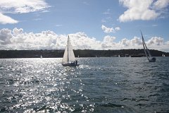 IMG 2593