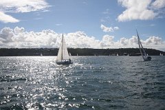IMG 2594