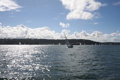 IMG 2597