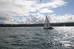 IMG 2598