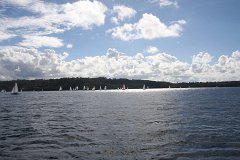 IMG 2603