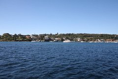 IMG 2604