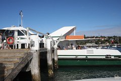 IMG 2613