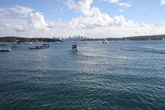 IMG 2657
