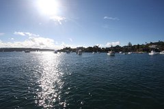 IMG 2661