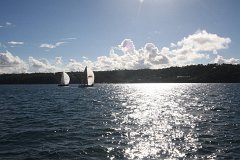 IMG 2664