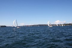 IMG 2668