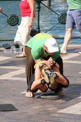 IMG 2887