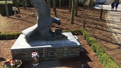 2016-04-09 03-22-57 000
