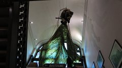 IMG 1347
