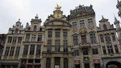 IMG 1269