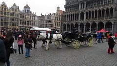 IMG 1272
