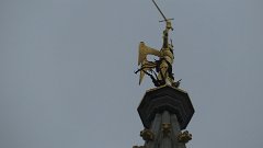 IMG 1277