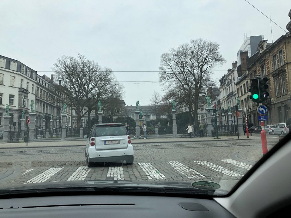 IMG 7251