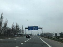 IMG 7231