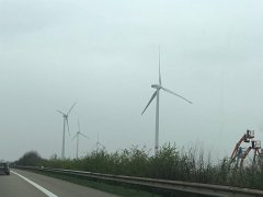 IMG 7232