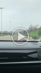 IMG 7233