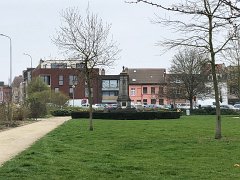 IMG 7240