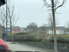 IMG 7242