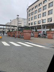 IMG 7249