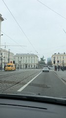 IMG 7254