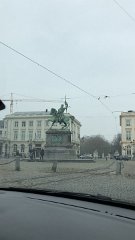 IMG 7255