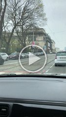 IMG 7256
