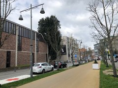 IMG 7293
