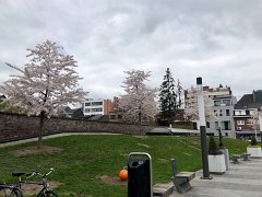 IMG 7318