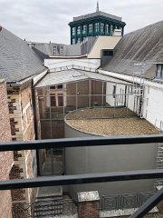 IMG 7331