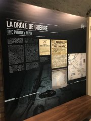 IMG 8446