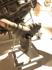 IMG 8481