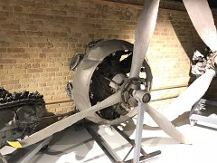 IMG 8529