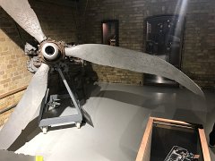 IMG 8531