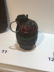 IMG 8556