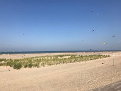 IMG 8565